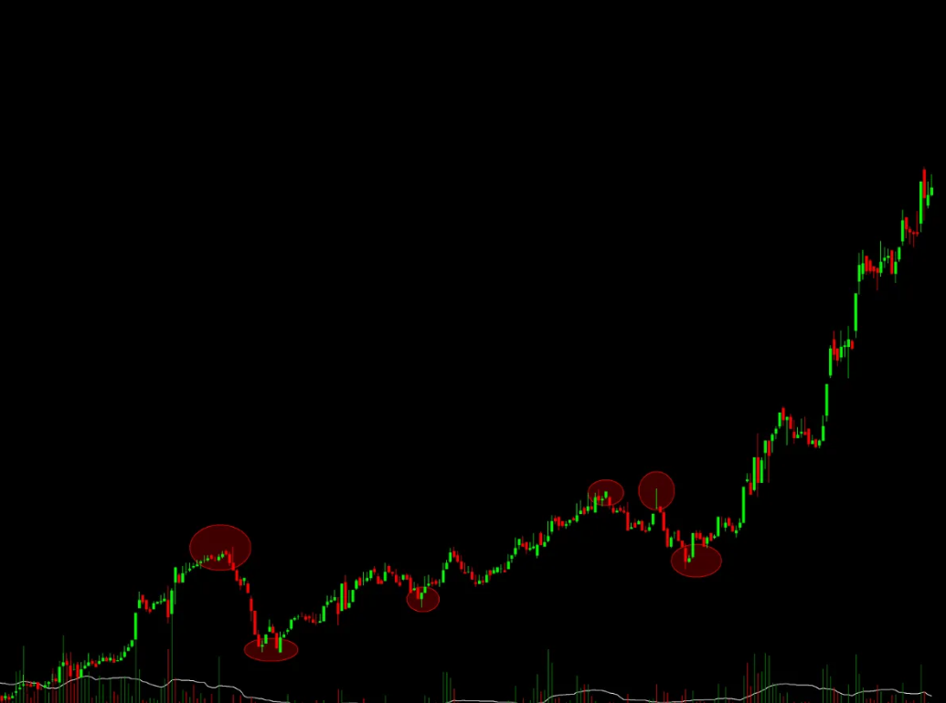 如何避免在本次山寨币季中亏损?10个致命错误与应对策略